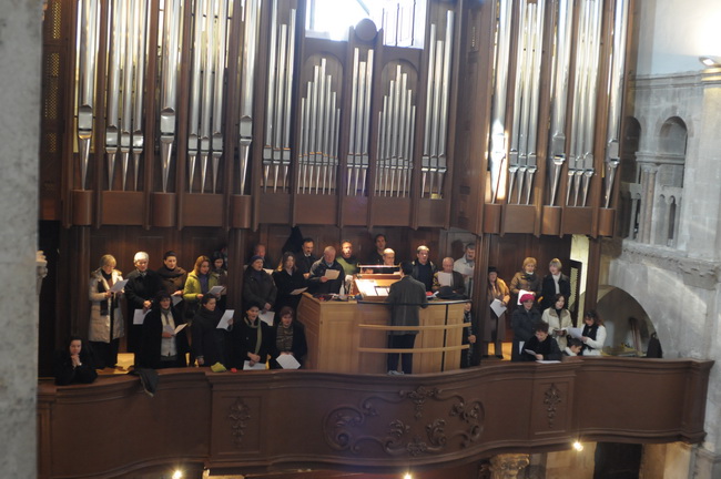 Nove orgulje u katedrali Svete Stosije u Zadru, Foto: Darko Dilber