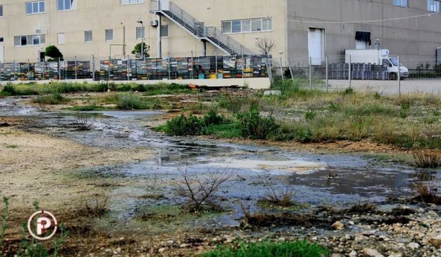 “Ostrea” u emisiji Provjereno