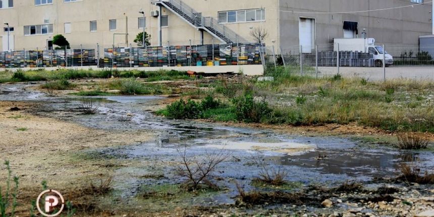 “Ostrea” u emisiji Provjereno “Ostrea” u emisiji Provjereno