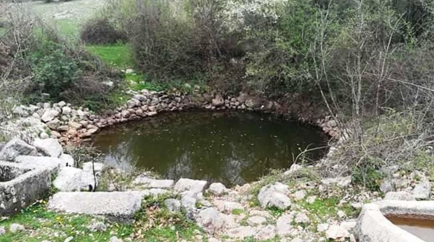 Bunar, bara – larvicidna dezinsekcija Bunar, bara – larvicidna dezinsekcija