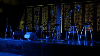 Image 1207235 (auto)