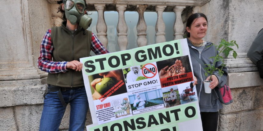 Zadar, 250513.
Nekolicina aktivista danas je na Narodnom trgu prosvjedovala protiv Monsanta, velikog proizvodjaca GMO sjemenja, pesticida itd.
Foto: Luka Gerlanc / CROPIX Zadar, 250513.
Nekolicina aktivista danas je na Narodnom trgu prosvjedovala protiv Monsanta, velikog proizvodjaca GMO sjemenja, pesticida itd.
Foto: Luka Gerlanc / CROPIX