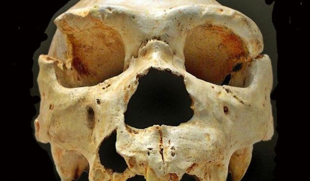 Najstariji DNK čovjeka šokirao znanstvenike, foto: Wikipedia / Wikimedia Commons Wikipedia (Foto)