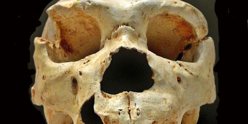 Najstariji DNK čovjeka šokirao znanstvenike, foto: Wikipedia / Wikimedia Commons Wikipedia (Foto)