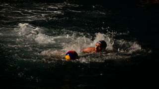 VAK”AN”ZA 31%, finale: Reptili – Nesvrstani 2-4 VAK”AN”ZA 31%, finale: Reptili – Nesvrstani 2-4