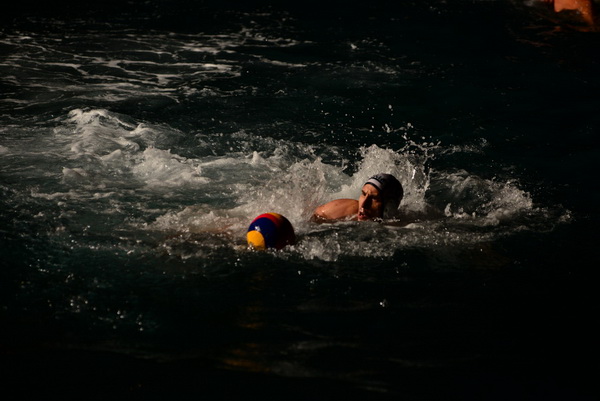 VAK”AN”ZA 31%, finale: Reptili – Nesvrstani 2-4 VAK”AN”ZA 31%, finale: Reptili – Nesvrstani 2-4