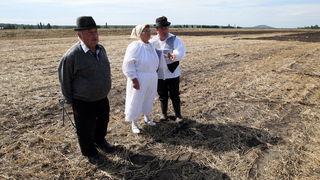Jankolovica, Biograd, 150912. 
U Jankolovici kraj Biograda odrzan je drugi dan 59. Svjetskog prvenstva u oranju. Ovo natjecanje u oranju odrzava se od 1953. godine, a Hrvatska se ukljucila 2005. godine.
Na fotografiji: detalj s manifestacije. 
Foto: Jure