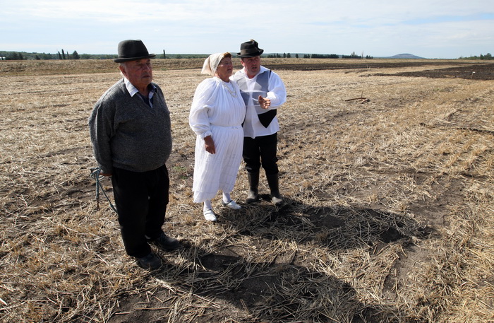Jankolovica, Biograd, 150912. 
U Jankolovici kraj Biograda odrzan je drugi dan 59. Svjetskog prvenstva u oranju. Ovo natjecanje u oranju odrzava se od 1953. godine, a Hrvatska se ukljucila 2005. godine.
Na fotografiji: detalj s manifestacije. 
Foto: Jure