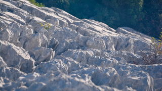 Nedjeljni đir do Parka prirode Vransko jezero i vidikovca Kamenjak, foto: Iva Perinčić Nedjeljni đir do Parka prirode Vransko jezero i vidikovca Kamenjak, foto: Iva Perinčić