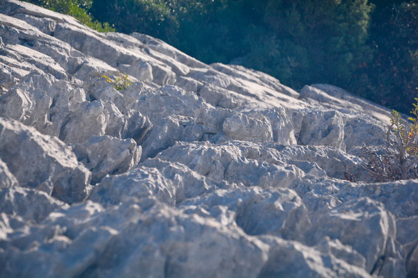 Nedjeljni đir do Parka prirode Vransko jezero i vidikovca Kamenjak, foto: Iva Perinčić Nedjeljni đir do Parka prirode Vransko jezero i vidikovca Kamenjak, foto: Iva Perinčić