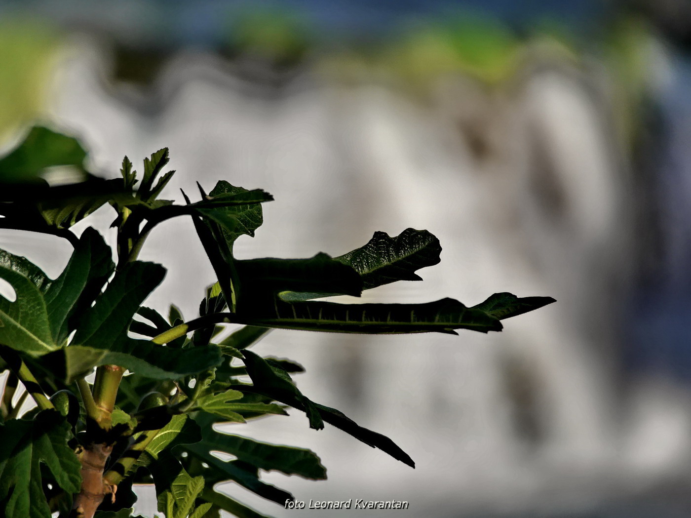 Nedjeljni izlet u Nacionalni park Krka Nedjeljni izlet u Nacionalni park Krka