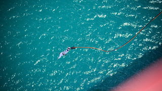 Mario Možnik i njegovi kolege sportaši otvorili su sezonu Bungee Jumpinga sa starog Masleničkom mosta