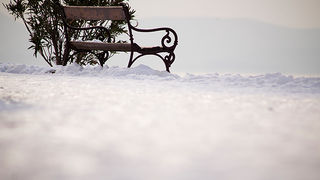 Đir po Punti Bajlo, 7. veljače 2012. (foto:Saša Čuka)