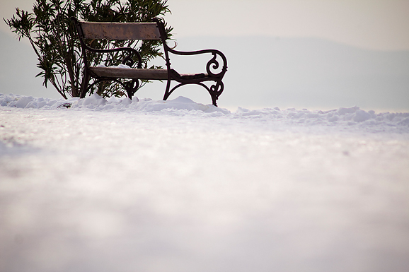 Đir po Punti Bajlo, 7. veljače 2012. (foto:Saša Čuka)