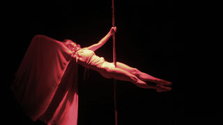 Image 1032887 (auto)