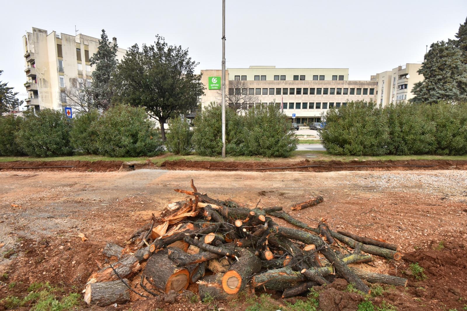 Na Bulevaru posječena stabla lipe stara 40 godina
