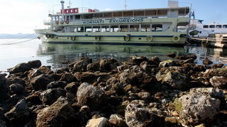 Zadar, 180112.
Velike plime i oseke, u ovom slucaju oseke, javljaju se u razdobljima punog mjeseca. Razina mora pala je za malo vise od pola metra sto i nije neki veliki problem osim sto su neke brodice ostale zarobljene u svojim lukama, a da isplove mora Zadar, 180112.
Velike plime i oseke, u ovom slucaju oseke, javljaju se u razdobljima punog mjeseca. Razina mora pala je za malo vise od pola metra sto i nije neki veliki problem osim sto su neke brodice ostale zarobljene u svojim lukama, a da isplove mora