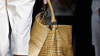 Torbice za proljeće 2010.