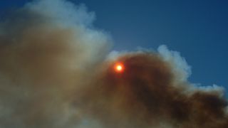 Image 1177189 (auto)