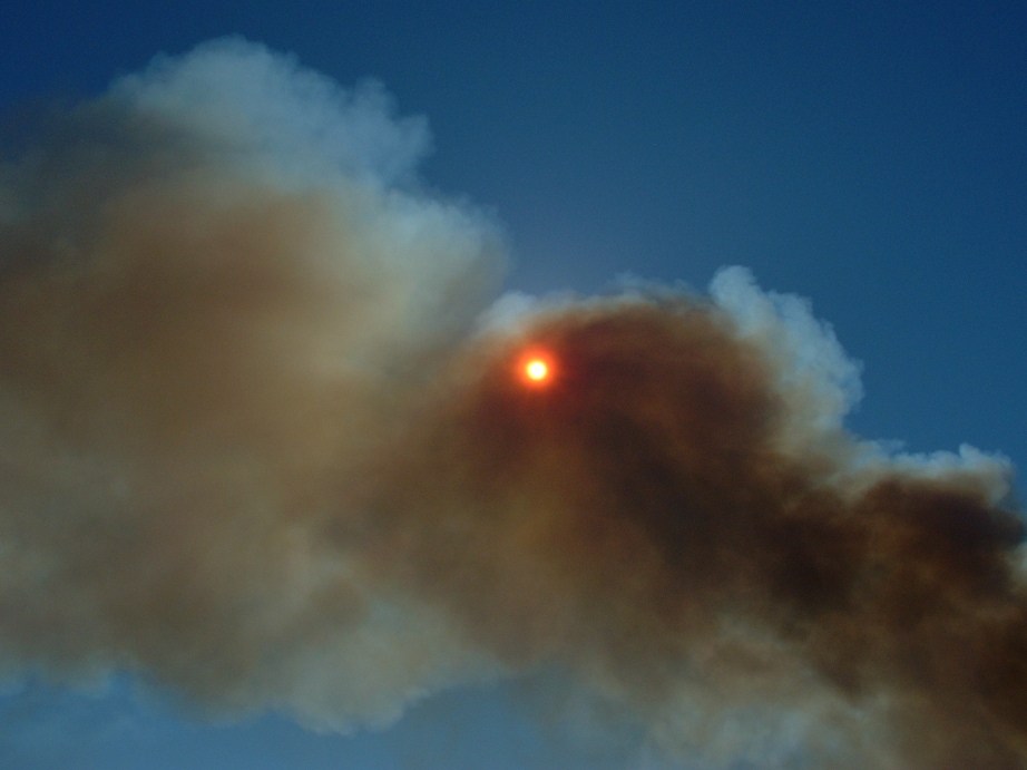 Image 1177189 (auto)