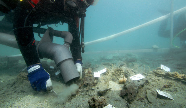 CASKA 2012 mamutiranje sondeFOTO: Sebastian GOVORCIN