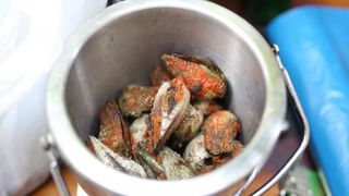 Građani od podneva uživaju u Varoškoj fešti, foto: Filip Brala/PIXSELL Građani od podneva uživaju u Varoškoj fešti, foto: Filip Brala/PIXSELL