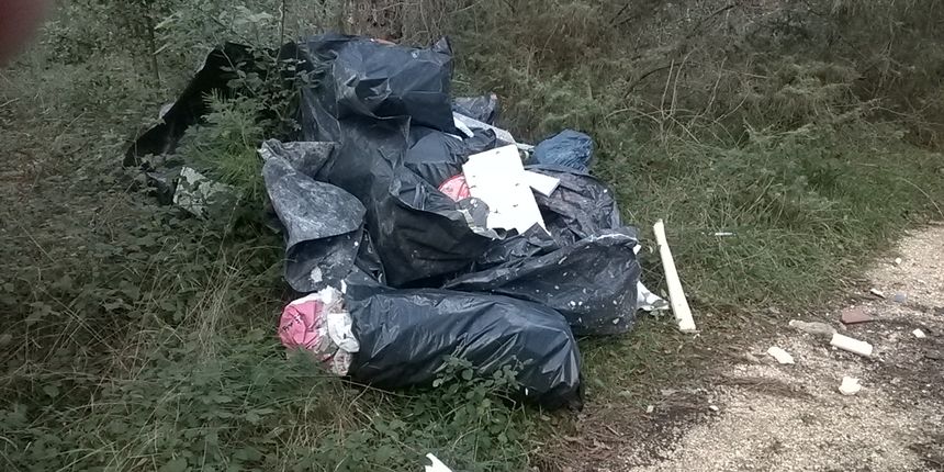 Park šuma Musapstan prvog dana Adventa “obogaćena novom pošiljkom” smeća