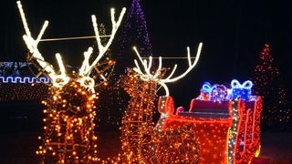 Dva milijuna lampica za božićnu čaroliju na imanju Salaj