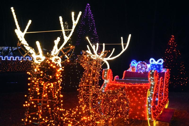 Dva milijuna lampica za božićnu čaroliju na imanju Salaj