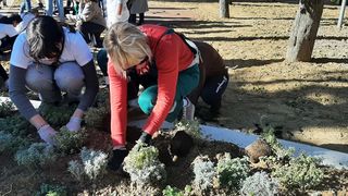 Volonteri uljepšali park Vruljica sadnjom cvijeća