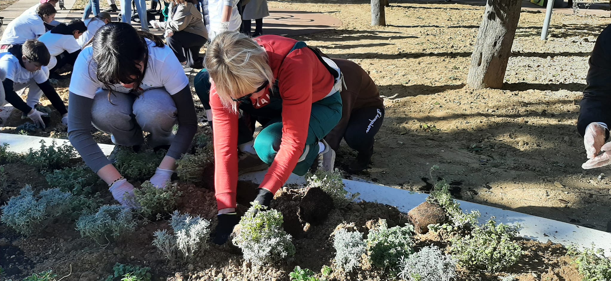 Volonteri uljepšali park Vruljica sadnjom cvijeća