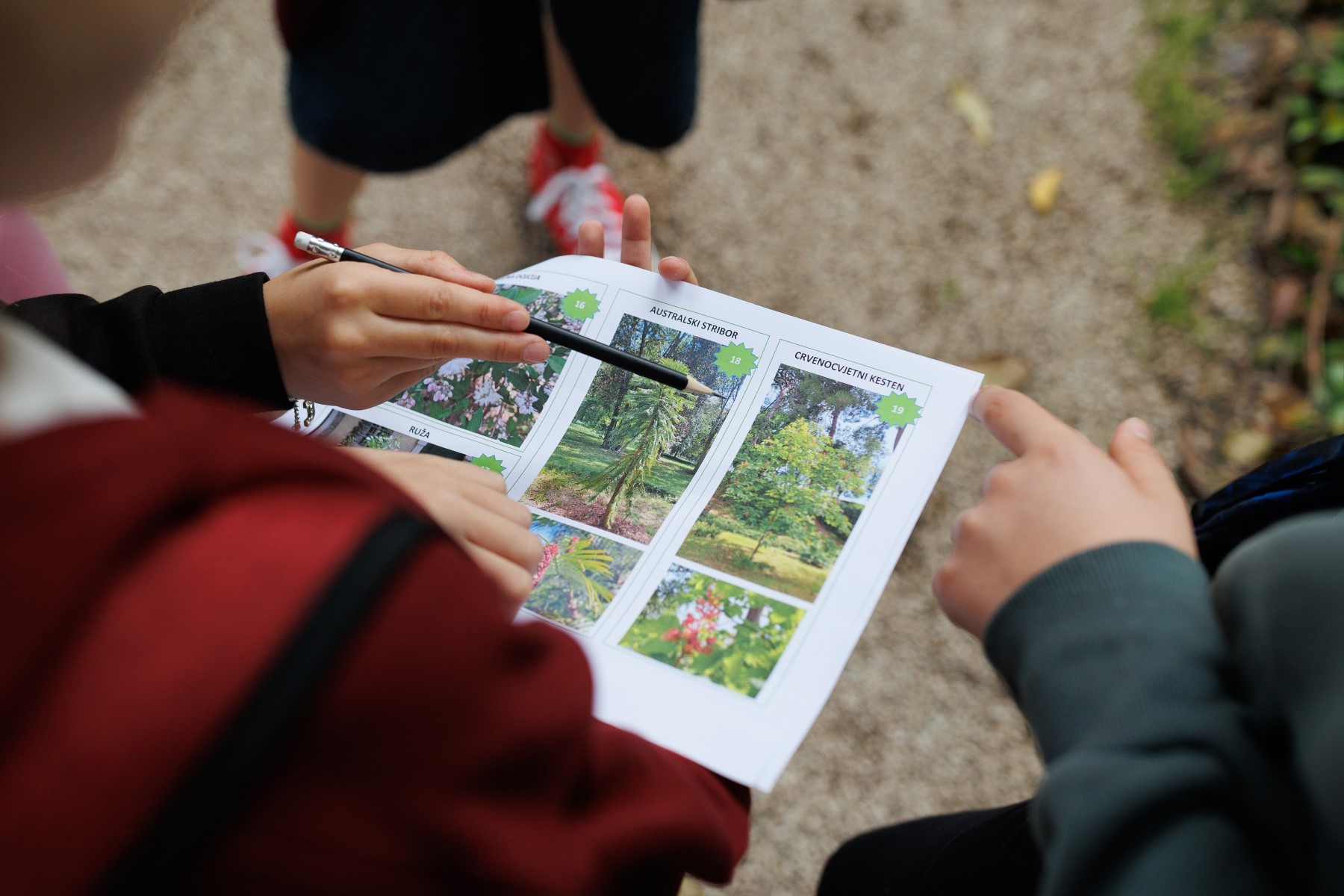 Noć tvrđava u Zadru – prijepodnevni program