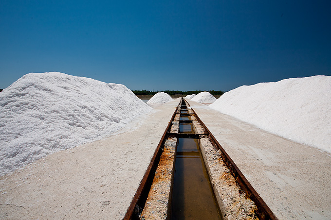 Solana Nin, berba soli, foto: Leo Banić