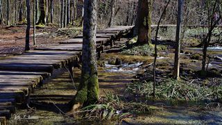 69. rođendan NP Plitvička Jezera 69. rođendan NP Plitvička Jezera