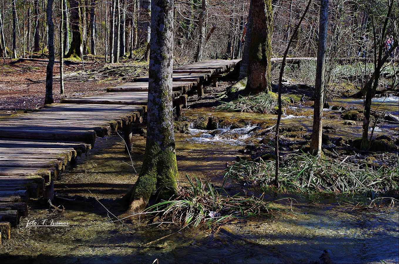 69. rođendan NP Plitvička Jezera 69. rođendan NP Plitvička Jezera