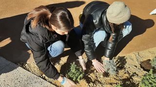Volonteri uljepšali park Vruljica sadnjom cvijeća