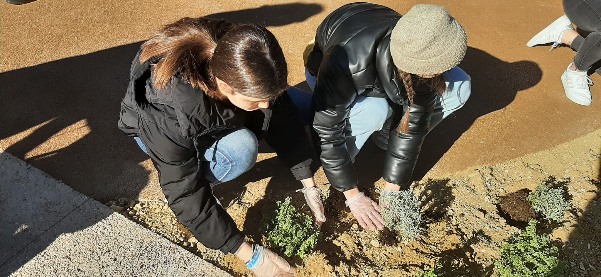 Volonteri uljepšali park Vruljica sadnjom cvijeća
