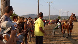 Polaca, utrke konja Oluja 95 Polaca, utrke konja Oluja 95