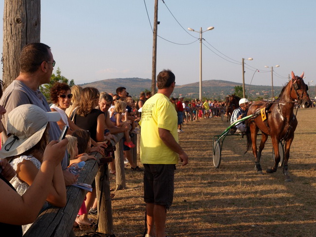 Polaca, utrke konja Oluja 95 Polaca, utrke konja Oluja 95