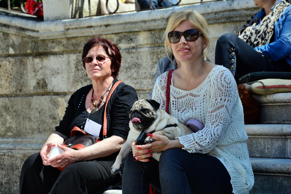 Kulturni Majdan na Trgu 5 bunara Kulturni Majdan na Trgu 5 bunara