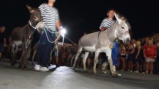 Trka Tovarov – 48. Memorijal Kenje Vijole Sukošan  Photo: Leo Banić