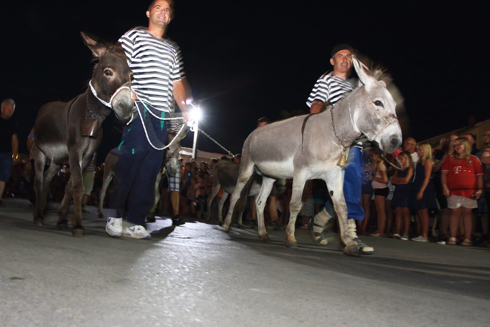 Trka Tovarov – 48. Memorijal Kenje Vijole Sukošan  Photo: Leo Banić