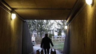 Izložba pasa Crufts 2009 u Birminghamu (Javno.hr)