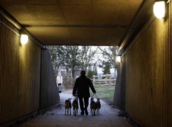 Izložba pasa Crufts 2009 u Birminghamu (Javno.hr)