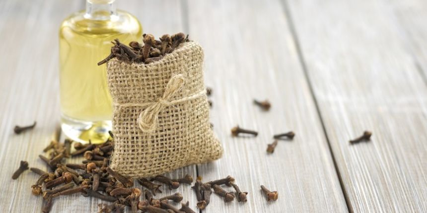 Klinčić, foto: Thinkstock Klinčić, foto: Thinkstock