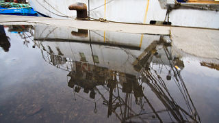 Ribarice u zadarskoj luci, Foto: Leo Banić