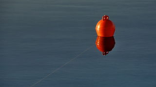 Svitanje i rano jutro u novoj luci Gaženica