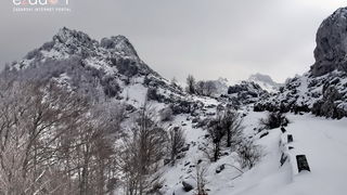 Tulove grede pod snježnim pokrivačem Tulove grede pod snježnim pokrivačem