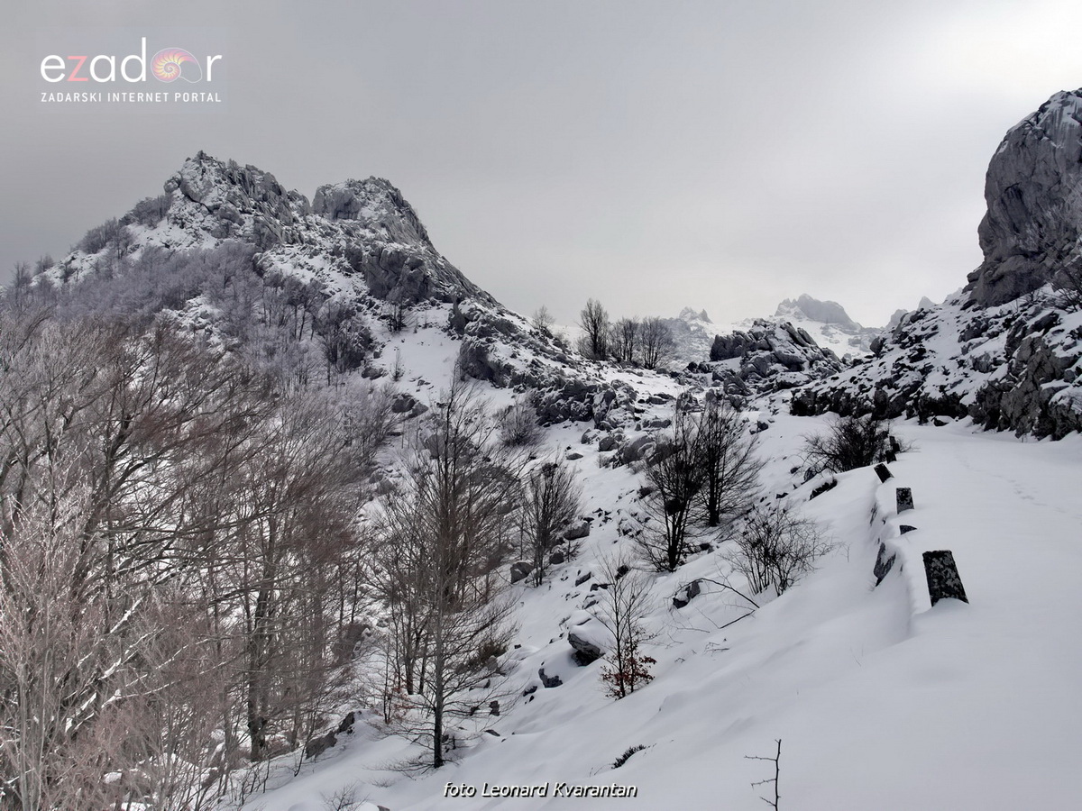 Tulove grede pod snježnim pokrivačem Tulove grede pod snježnim pokrivačem