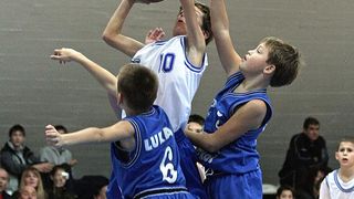 Image 1093997 (auto)